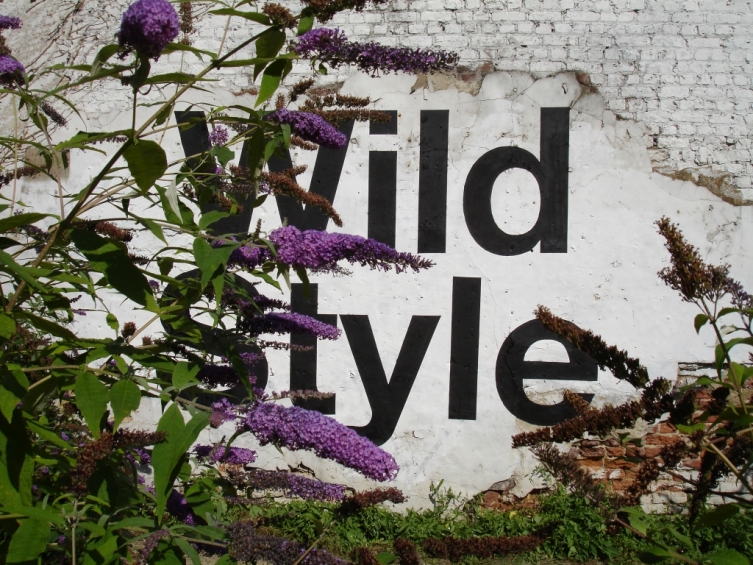 'Wild Style' by Ismaël Bennani - Rue du Berger, 1050 Brussels